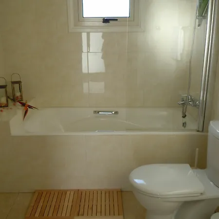 Athena 普罗塔拉斯